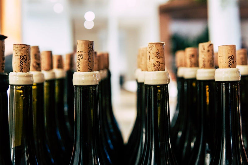 Bodega de hielo para el envejecimiento de vinos - Wine.com.mx