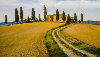 Florencia y sus Secretos Enológicos: Descubriendo sus Vinos - Wine.com.mx