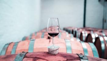 La Toscana, na Italia, y sus bodega veganas - Wine.com.mx