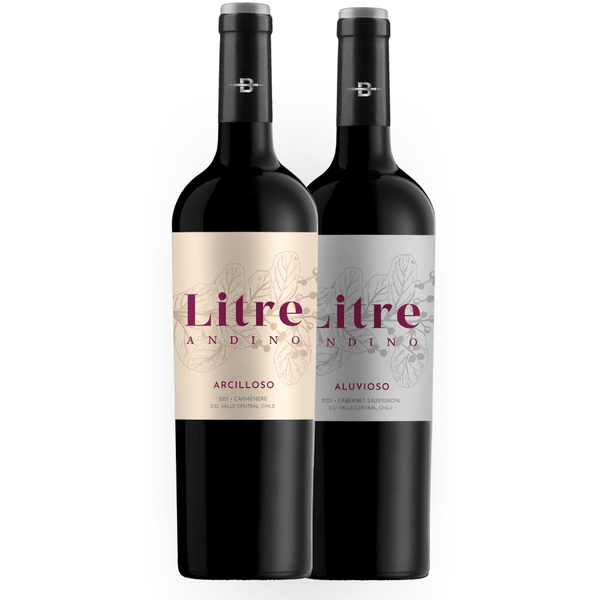 Winebox plan 2 botellas - Selección Diciembre 2022 (Litre Andino)